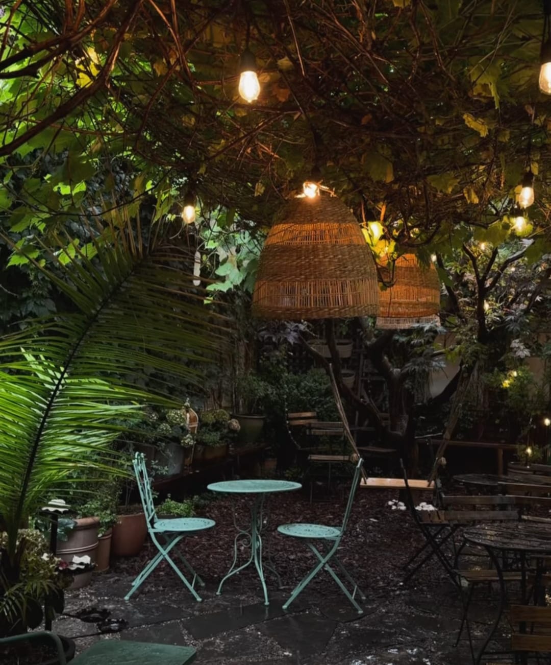 Cafe23 lantern-lit garden patio at night